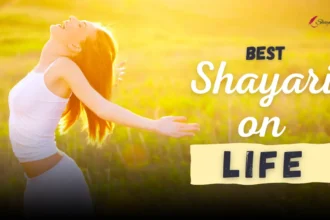 Shayari on Life feature image