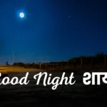Good Night Shayari