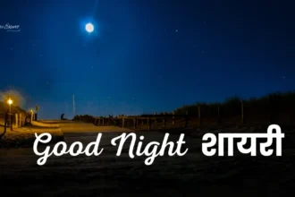 Good Night Shayari
