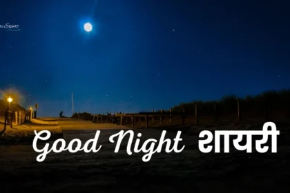Good Night Shayari