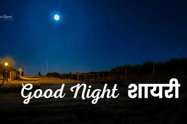 Good Night Shayari